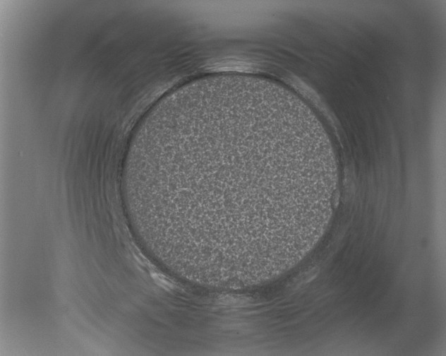 X0000080190529200612302314