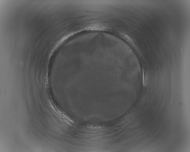 X0000080190531200612302314