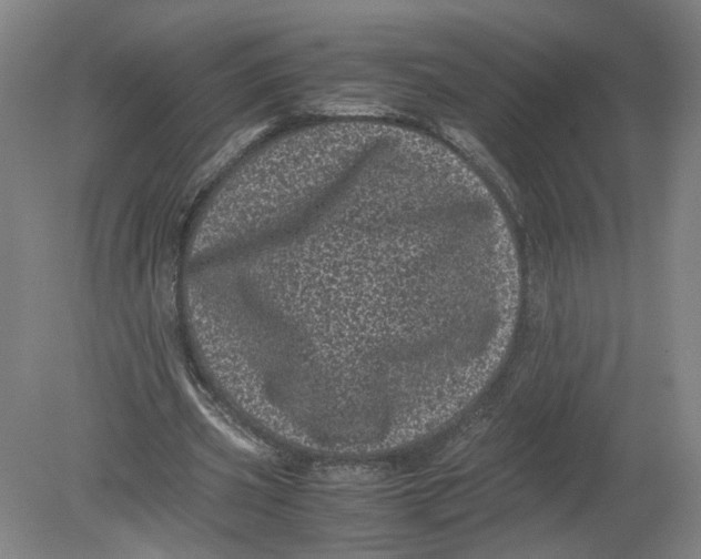 X0000080190533200612302314
