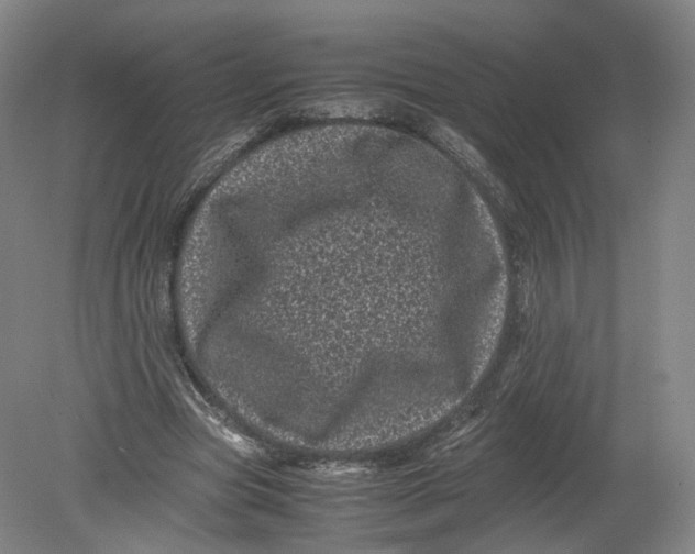 X0000080190537200612302314