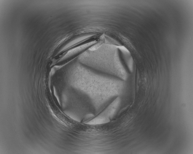 X0000080190538200612302314