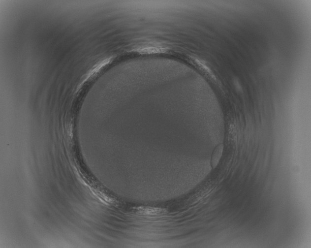 X0000080190539200612302314