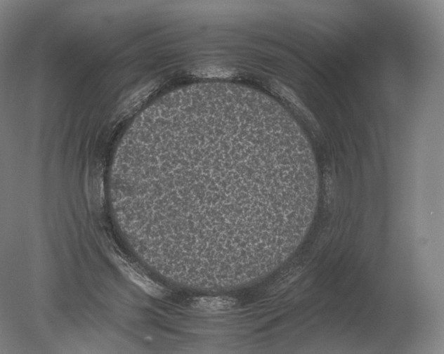 X0000080190541200612302314