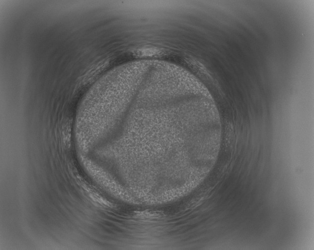 X0000080190545200612302314