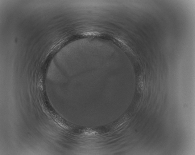 X0000080190547200612302314