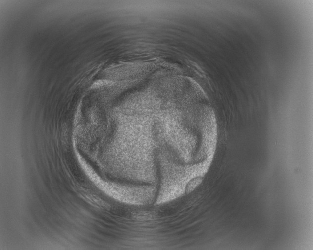X0000080190549200612302314