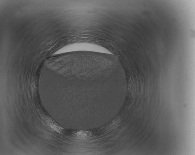 X0000080190566200612302314