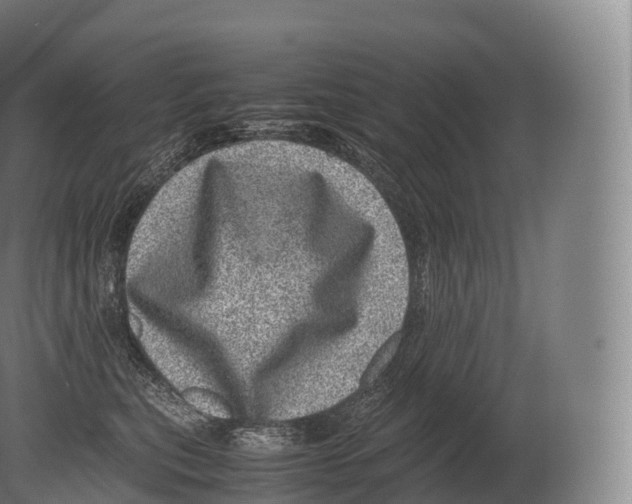X0000080190567200612302314