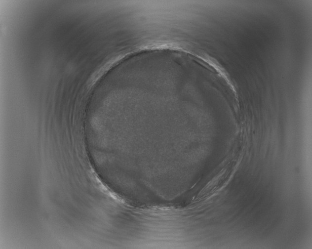 X0000080190577200612302314