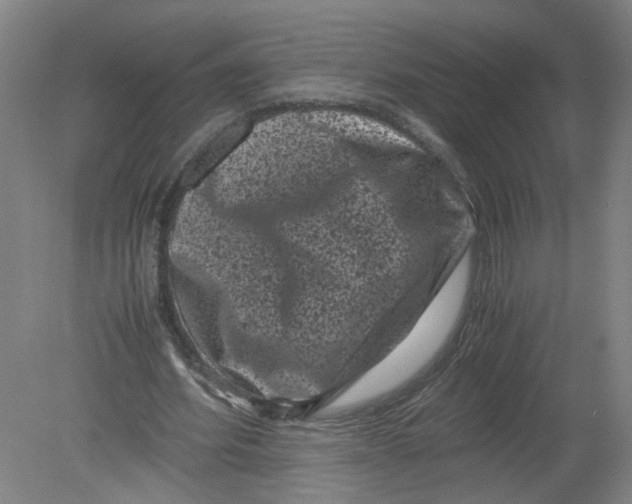 X0000080190580200612302314
