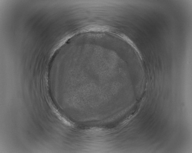 X0000080190581200612302314