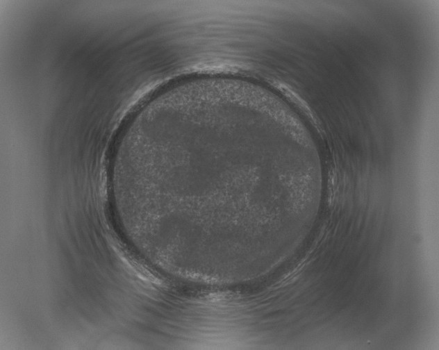 X0000080190584200612302314