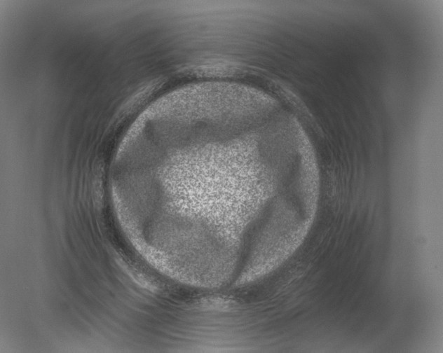 X0000080190586200612302314