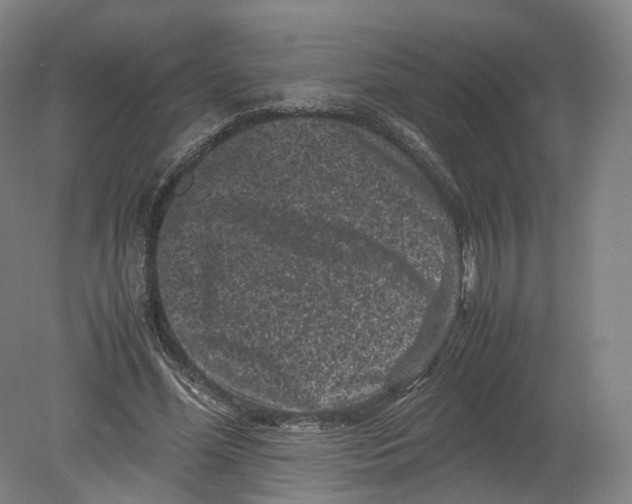 X0000080190588200612302314