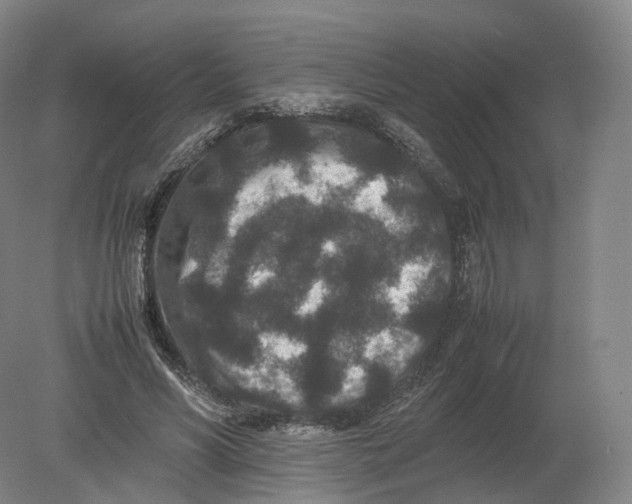 X0000080190590200612302314