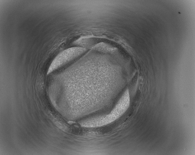 X0000080190593200612302314