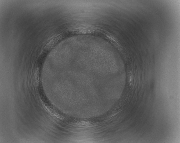 X0000080190594200612302314