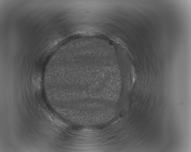 X0000080190596200612302314