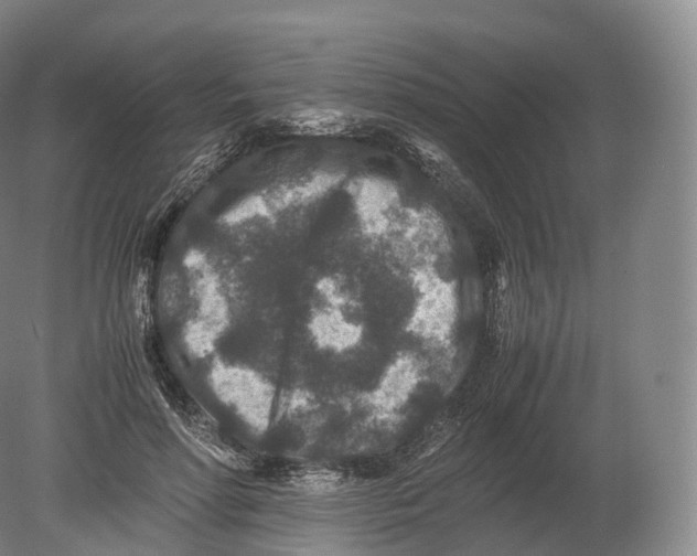 X0000080190598200612302313