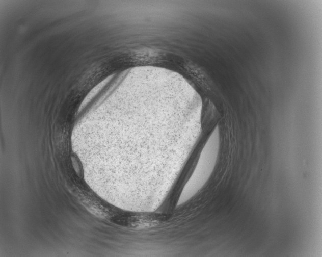 X0000080190601200612302313