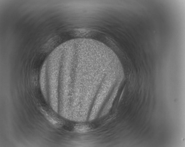 X0000080190602200612302313