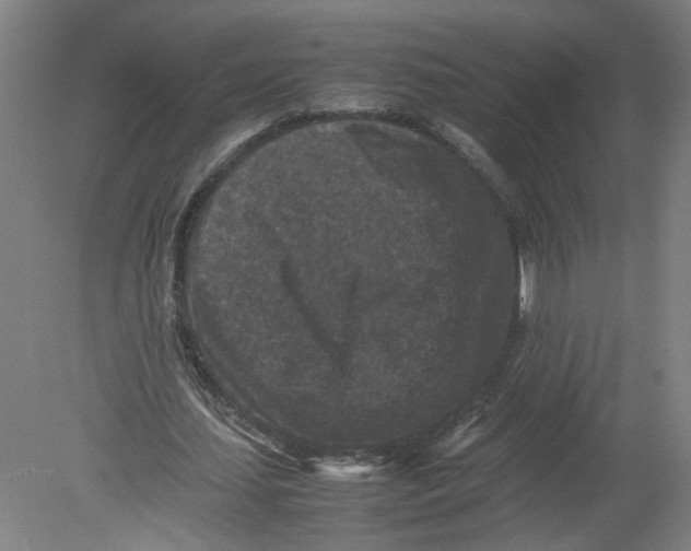X0000080190627200612302312