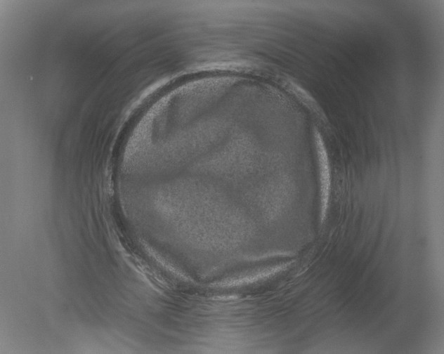 X0000080190628200612302312