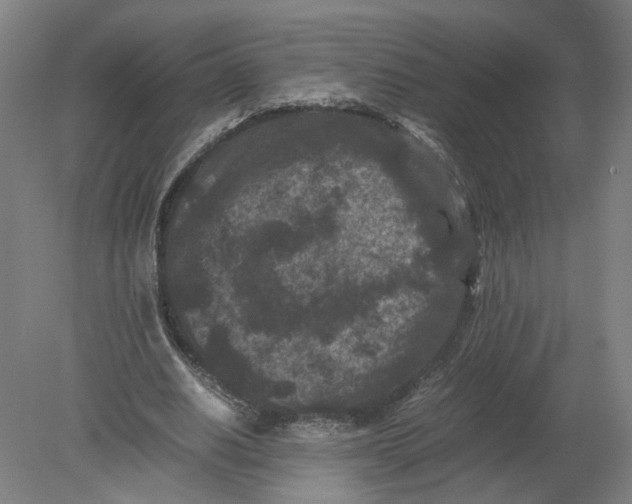 X0000080190630200612302312
