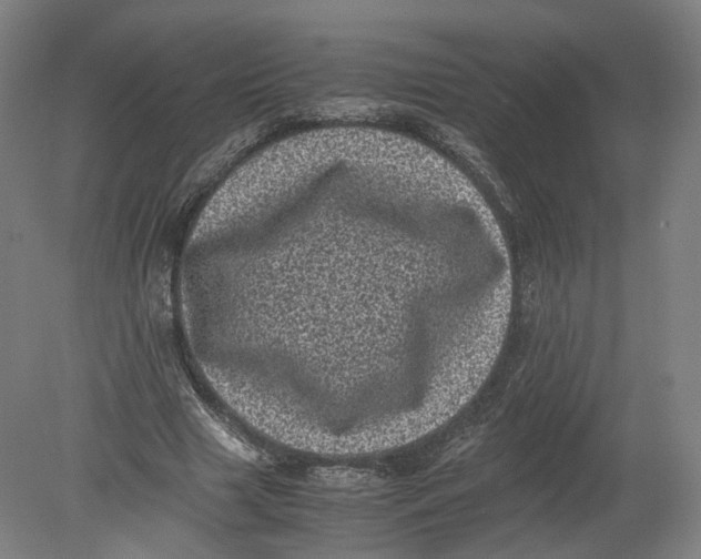 X0000080190633200612302312