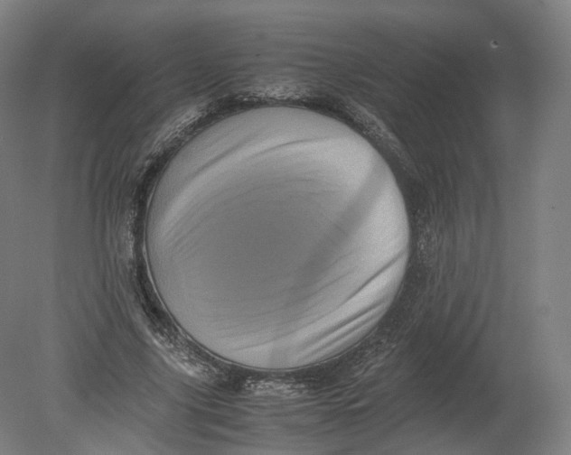 X0000080190635200612302312