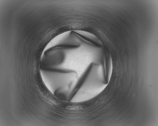 X0000080190639200612302312