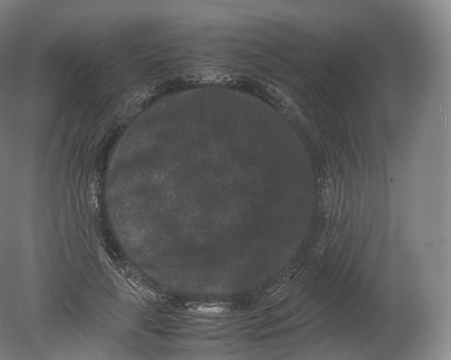 X0000080190643200612302313