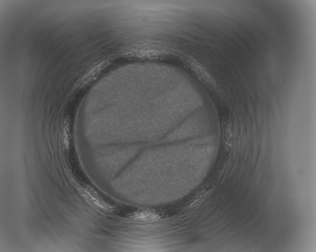 X0000080190644200612302313