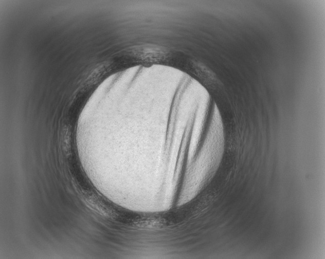 X0000080190646200612302313