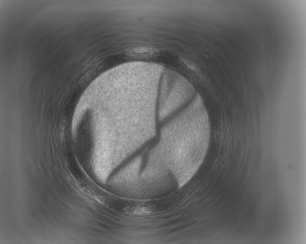 X0000080190647200612302313