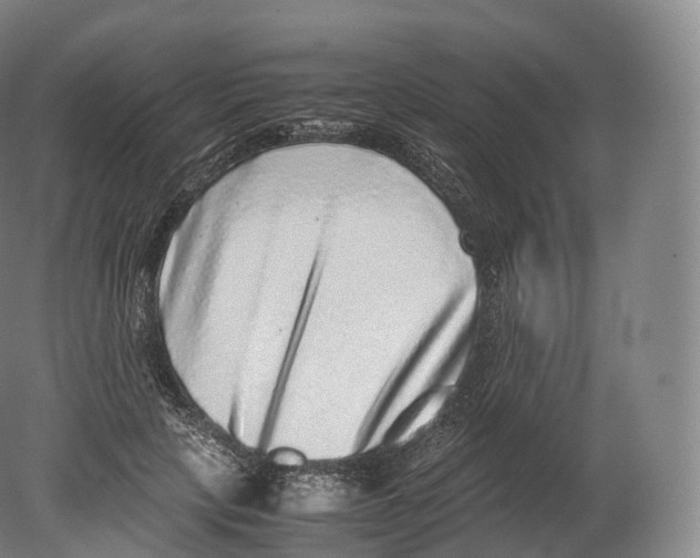 X0000080190649200612302313