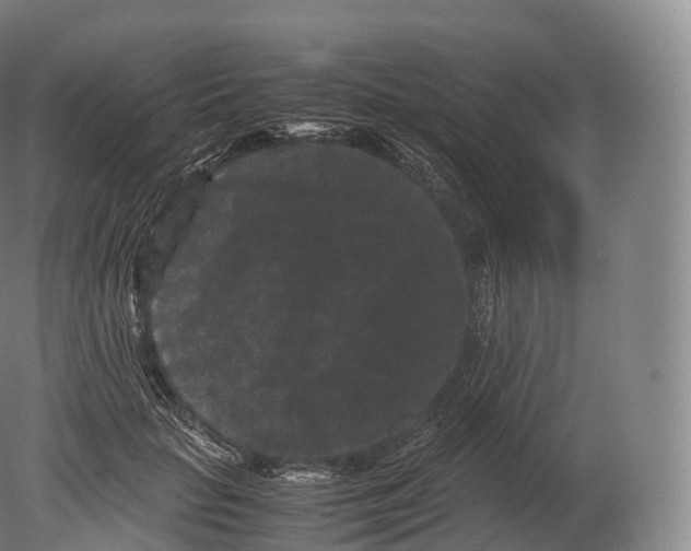 X0000080190653200612302313