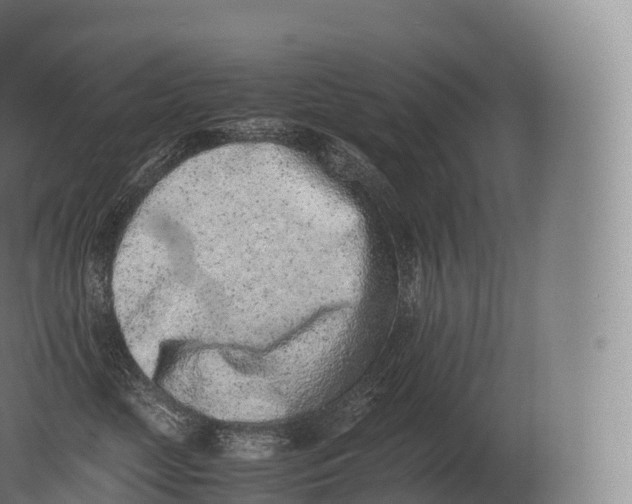 X0000080190669200612302313