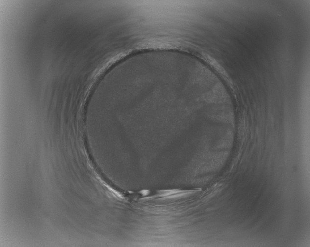 X0000080190673200612302312