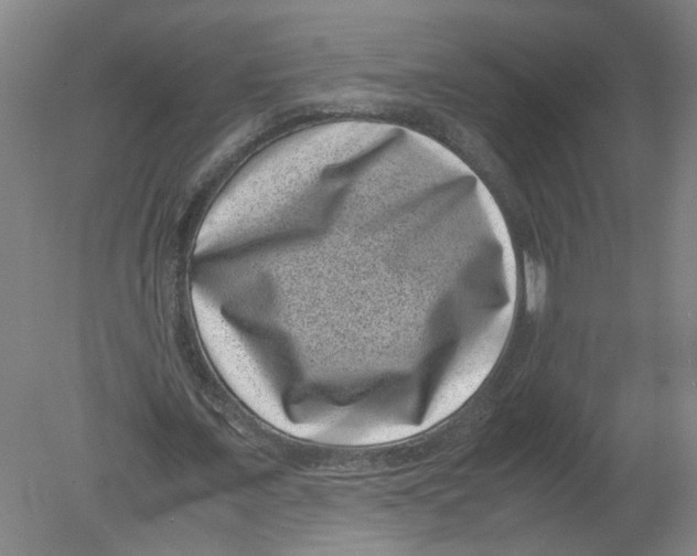 X0000080190675200612302312
