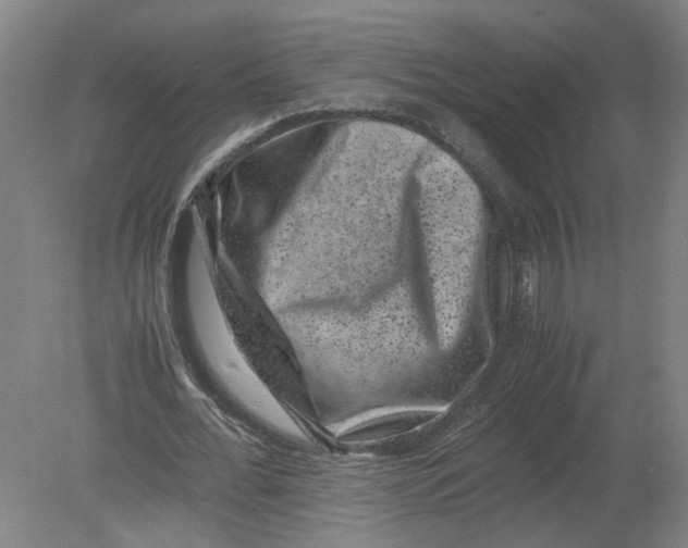 X0000080190676200612302312