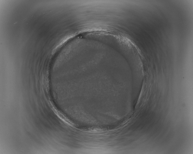 X0000080190677200612302312