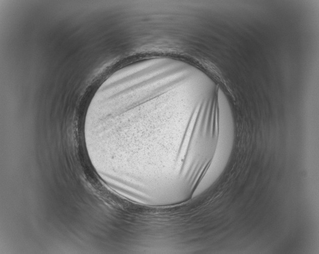 X0000080190680200612302312