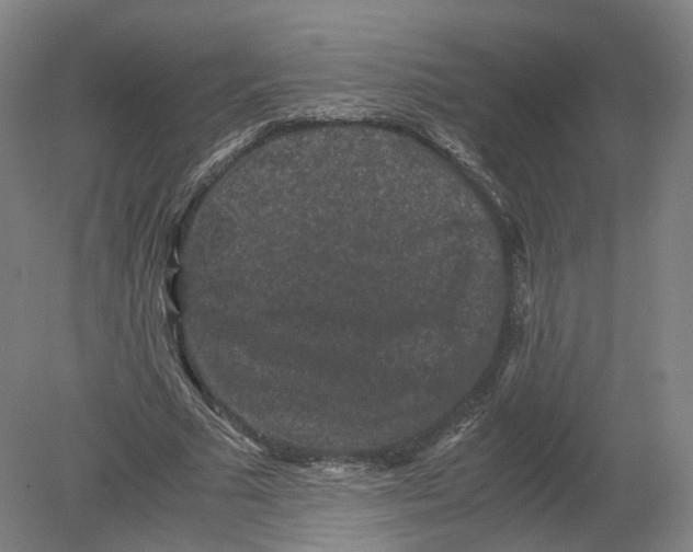 X0000080190681200612302312