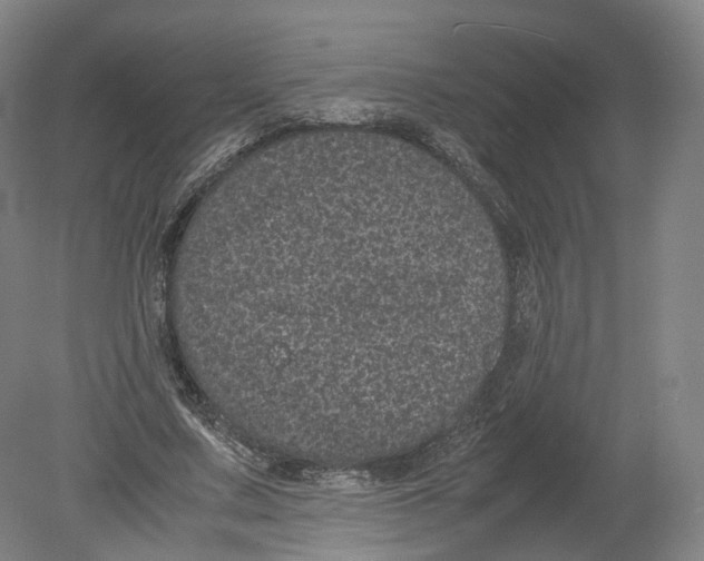 X0000080190683200612302312