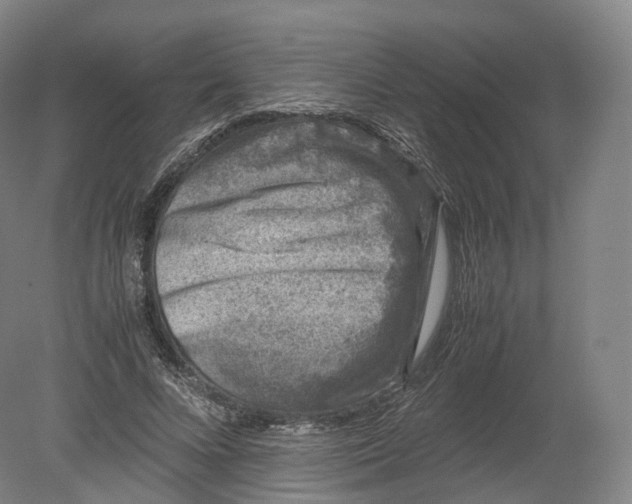 X0000080190688200612302312