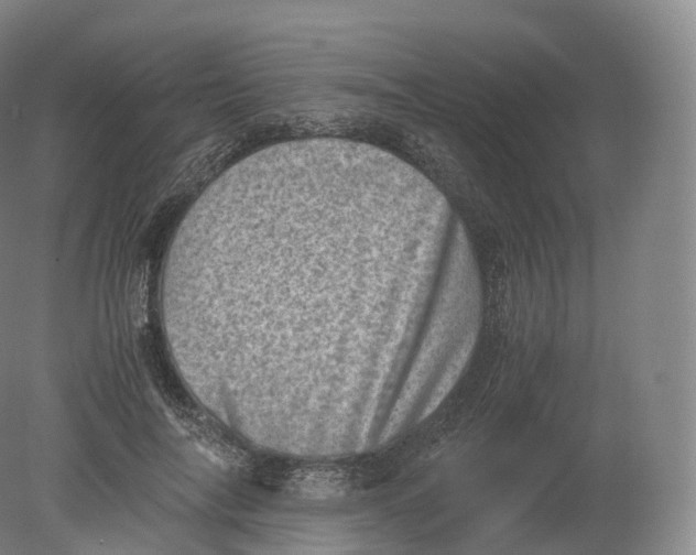 X0000080190694200612302312
