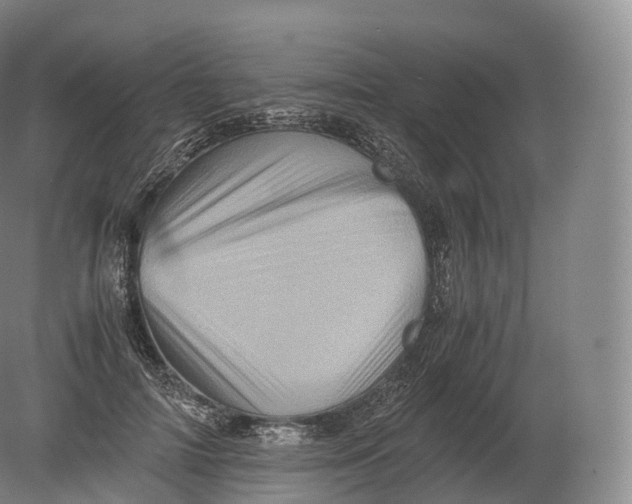 X0000080190698200612302312