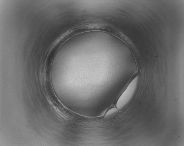 X0000080190722200612302311