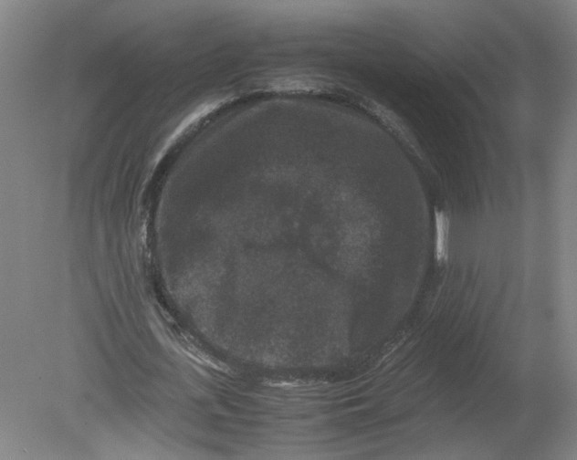 X0000080190723200612302311